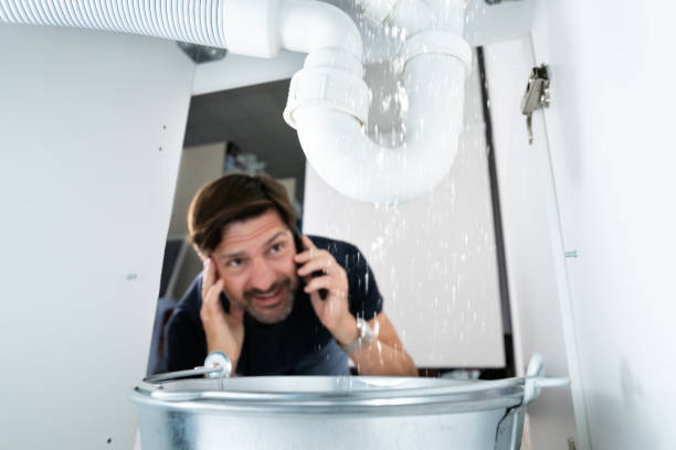 Best Shower Repair Services  in Norridge, IL