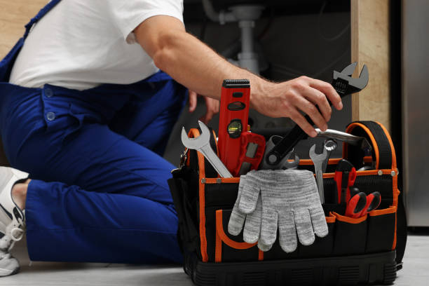 Best Plumbing Services Near Me  in Norridge, IL